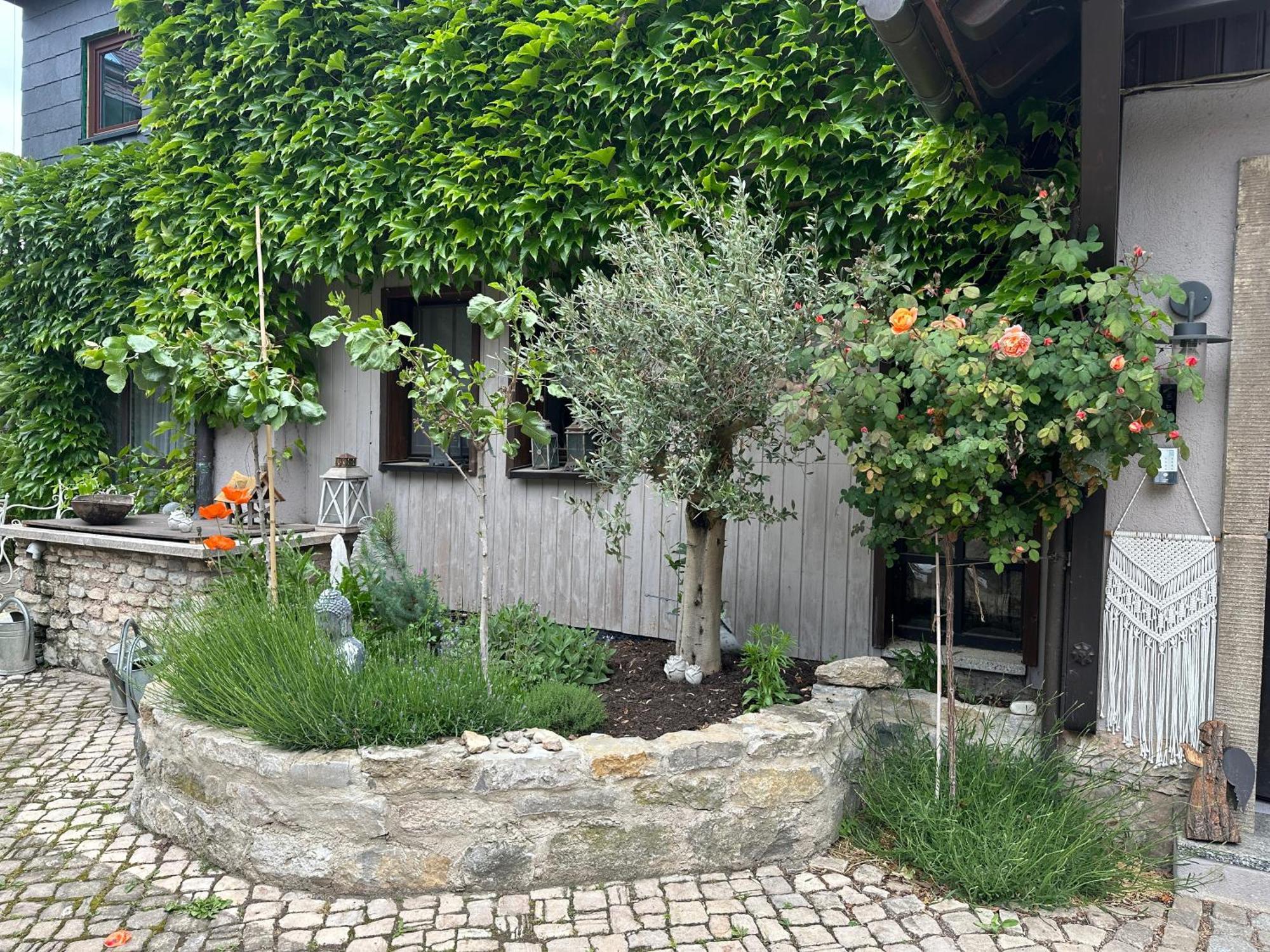 Bio Kastanienhof - Und Ayurvedische Jurten Gæstehus Erfurt